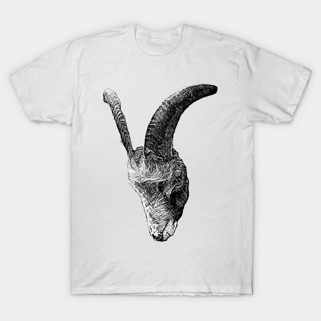 Alistair the Goat T-Shirt by bywhacky